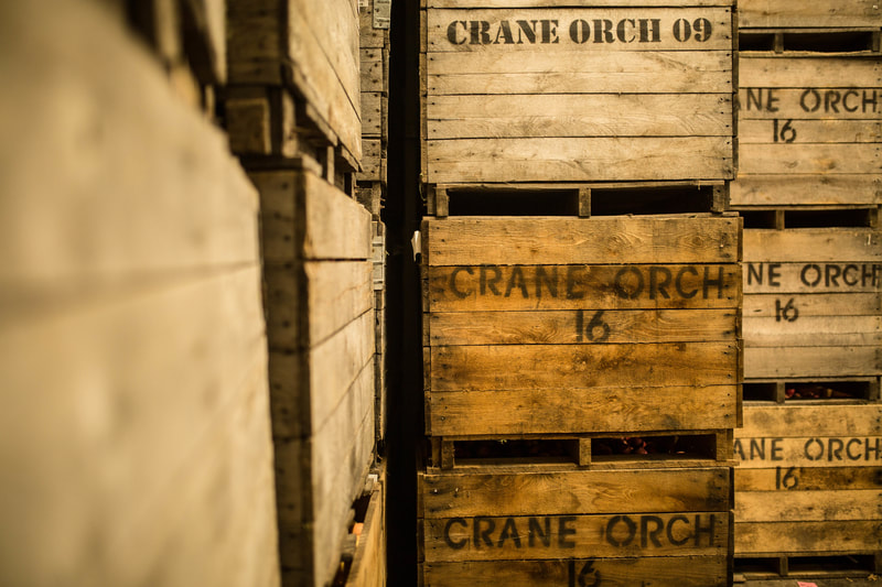 Crane's Wine and Cider - Fennville, MI